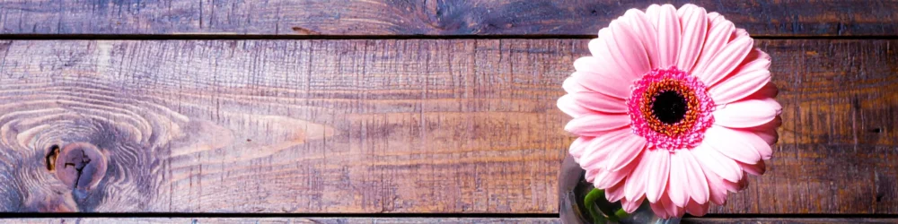 ふたりログ｜公式テーマ開発者が語るブログ成長戦略